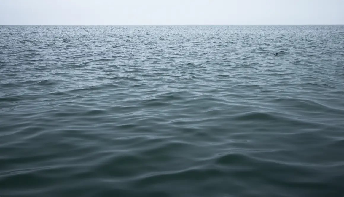 Sea