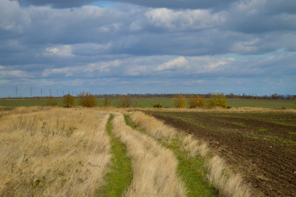Field