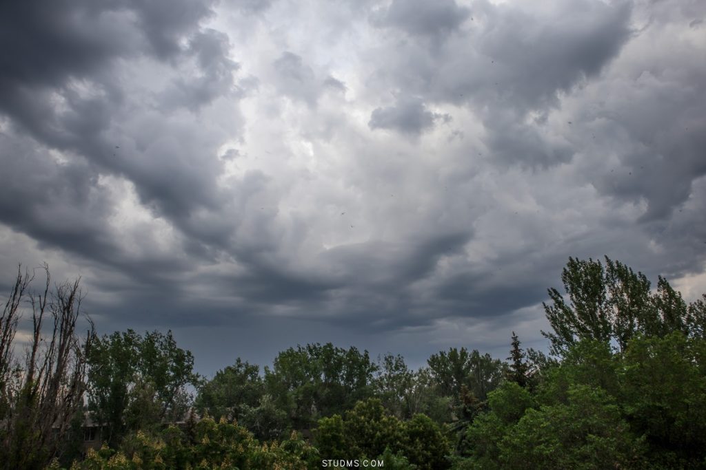 Before the Storm