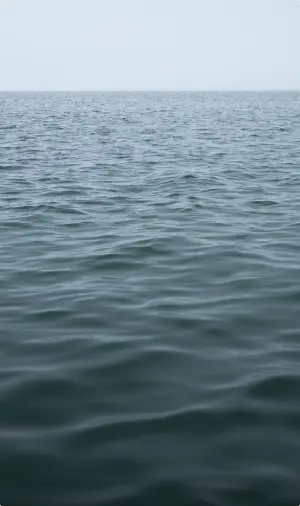 Sea