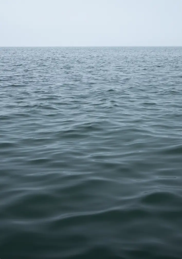 Sea