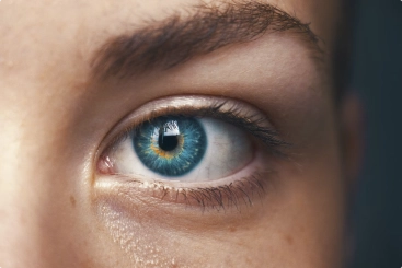 macro eye